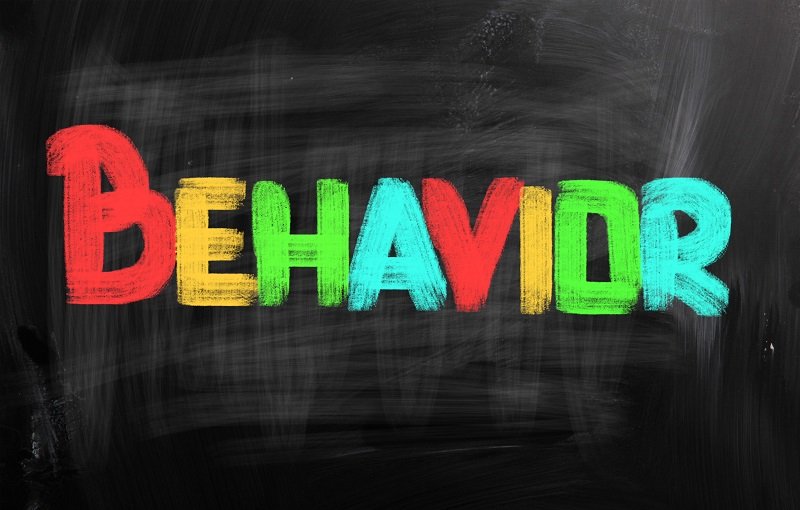 Dr. O'Connor, a Toronto psychologist, provides behavioral assessments to assess and help with a range of child behavioral problems. 